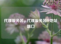 代理服务器ip,代理服务器IP地址端口