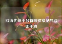 欧博代理平台有哪些常见的欺诈手段
