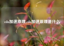 cdn加速原理,cdn加速原理是什么