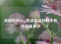 贝锐科技Oray发送验证码的手机号码是多少