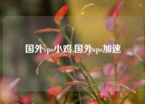国外vps小鸡,国外vps加速