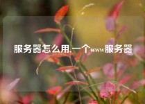 服务器怎么用,一个www服务器
