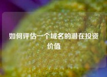 如何评估一个域名的潜在投资价值