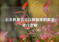 云主机是否可以根据我的需求进行定制