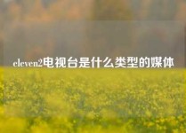 eleven2电视台是什么类型的媒体