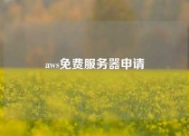 aws免费服务器申请