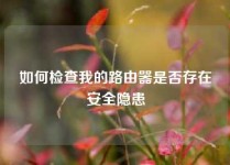 如何检查我的路由器是否存在安全隐患
