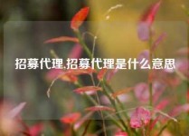 招募代理,招募代理是什么意思