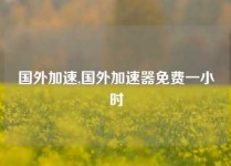 国外加速,国外加速器免费一小时