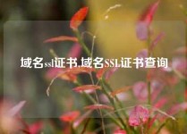 域名ssl证书,域名SSL证书查询