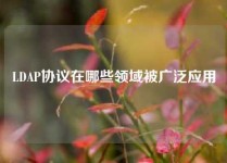 LDAP协议在哪些领域被广泛应用