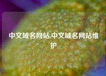 中文域名网站,中文域名网站维护