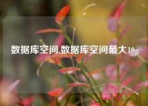 数据库空间,数据库空间最大10g