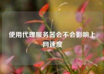 使用代理服务器会不会影响上网速度