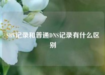 SRV记录和普通DNS记录有什么区别