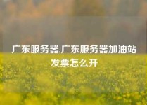 广东服务器,广东服务器加油站发票怎么开