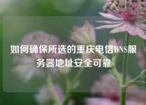 如何确保所选的重庆电信DNS服务器地址安全可靠