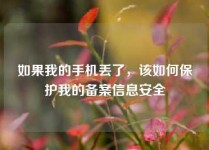 如果我的手机丢了，该如何保护我的备案信息安全
