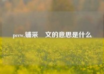 pccw,铺采摛文的意思是什么