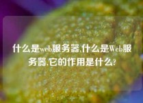什么是web服务器,什么是Web服务器,它的作用是什么?