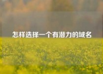 怎样选择一个有潜力的域名
