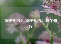 重庆电信dns,重庆电信dns哪个最好