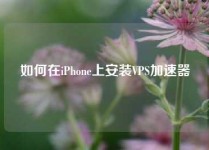如何在iPhone上安装VPS加速器