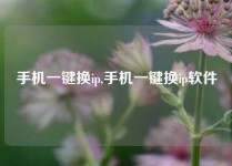 手机一键换ip,手机一键换ip软件