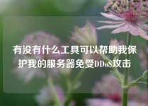 有没有什么工具可以帮助我保护我的服务器免受DDoS攻击