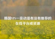韩国VPS一夜动漫有没有推荐的在线平台或资源