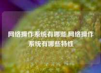 网络操作系统有哪些,网络操作系统有哪些特性