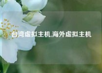 台湾虚拟主机,海外虚拟主机