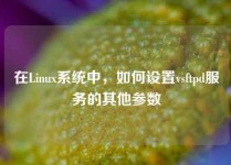 在Linux系统中，如何设置vsftpd服务的其他参数