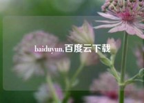 baiduyun,百度云下载