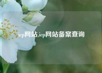 icp网站,icp网站备案查询