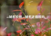 cc域名价格,cc域名还值钱吗