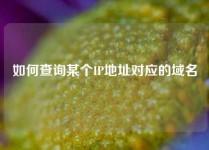 如何查询某个IP地址对应的域名