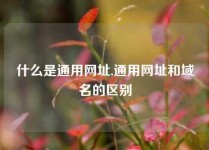 什么是通用网址,通用网址和域名的区别
