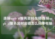 连接apple id服务器时出错,连接apple id服务器时出错怎么回事电脑