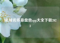 域,域名停靠盘他app大全下载2023
