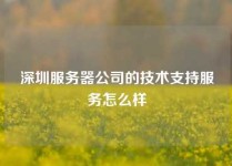深圳服务器公司的技术支持服务怎么样