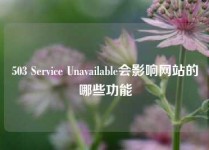 503 Service Unavailable会影响网站的哪些功能