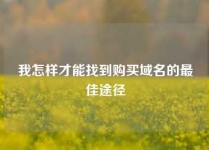 我怎样才能找到购买域名的最佳途径