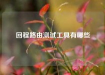 回程路由测试工具有哪些