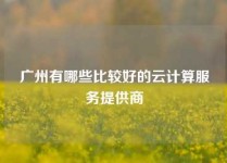 广州有哪些比较好的云计算服务提供商