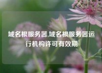 域名根服务器,域名根服务器运行机构许可有效期