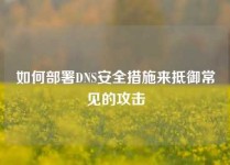 如何部署DNS安全措施来抵御常见的攻击