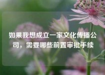 如果我想成立一家文化传播公司，需要哪些前置审批手续
