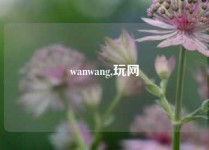 wanwang,玩网
