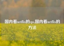 国内看netflix的vps,国内看netflix的方法